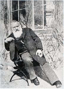 Johannes Brahms, c.1897 de Austrian Photographer